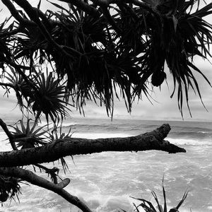 Meet your Posher, Josie